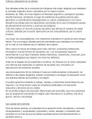 Cultura y educación en la colonia resumen