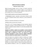 Derecho Procesal de Amparo - Capacidad Intereses y Partes