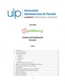 Sistema de Distribución (Pinkberry)