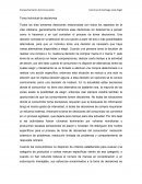 Toma individual de decisiones. En el terreno de la economía teórica