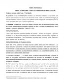 PERFIL OCUPACIONAL Y PERFIL DE FORMACIÓN DE TRABAJO SOCIAL