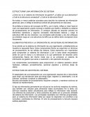 Estructura de un sistema administrativo ¿Cómo se ve un sistema de información de gestión?