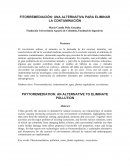 FITOREMEDIACION Fundación Universitaria Agraria de Colombia, Facultad de Ingeniería