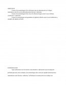 Pensamiento logico matematico