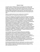 Ensayo sobre Migración Ilegal