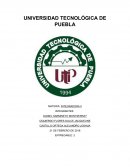 El diagnostico de mercado describe el mercado nacional de manera adecuada, que facilita la toma de decisiones.