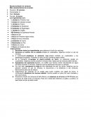 Receta de Budín de verduras