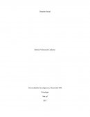 ENTREVISTA En este trabajo estaré hablando, describiendo el concepto de derecho social, su surgimiento y sus ramas.
