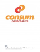 Historia de Consum
