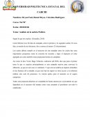 Tema: Análisis de la noticia Política