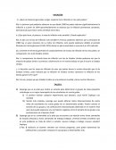 ¿Qué conclusiones generales surgen respecto de la inflación en los siete países?