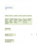 Cuales son las Caracteristicas del cuerpo humano