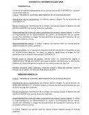 SUPUESTO 0: INFORME DE AUDITORÍA