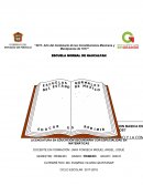 CUALES SON LOS CONTENIDOS