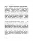 Cuales son los Aspectos de la Constitución Política del estado que deben ser corregidos