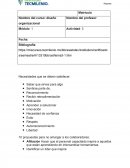 Nombre del curso: diseño organizacional