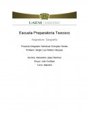 Geografia Proyecto Integrador Individual: Energías Verdes