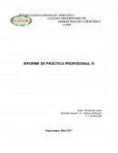 Plan de trabajo de investigacion preescolar