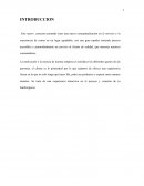 Caso Pap’s Burguer