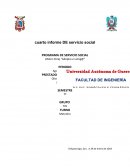 Como se da el Formato de reporte servicio social