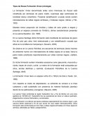 Tipos de Rocas Formación Vivian (Litología)