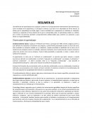 RESUMEN DE APRENDIZAJE