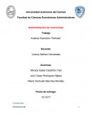 Análisis financiero “Peñoles”