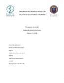 Cuales son las Guias alimentarias