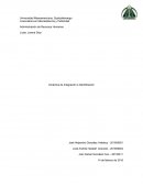 Administración de Recursos Humanos - Dinámica de Integración e Identificación