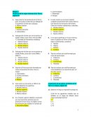 Capa interna más profunda de la Tierra, pues se localiza a 6370 km por debajo de la superficie y tiene dos subcapas.