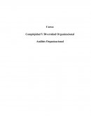 ANALISIS ORGANIZACIONAL DE LA COMPLEJIDAD Y DIVERSIDAD ORGANIZACIONAL