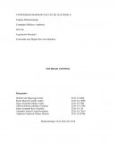 Como se da la Sociedad anoni,ma de Guatemala