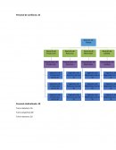 Calendario de actividades de la Comisión Mixta de Seguridad e Higiene