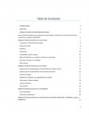 NORMAS TÉCNICAS DE CONTABILIDAD PÚBLICA