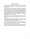 PROYECTO DE INVESTIGACIÓN CON MÉTODO CIENTÍFICO