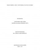 ENSAYO SOBRE EL VIDEO ''ASI SE ROBAN LA PLATA EN COLOMBIA''