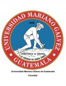 Una nueva Cadena de custodia