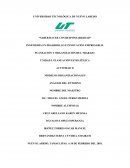 Actividad Modelos organizacionales Análisis del entorno