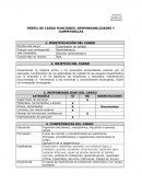 PERFIL DE CARGO FUNCIONES, RESPONSABILIDADES Y COMPETENCIAS