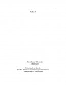 Como se da el Comportamiento Orgnizacionl