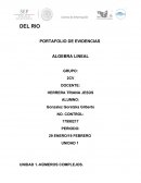 PORTAFOLIO DE EVIDENCIAS ALGEBRA LINEAL