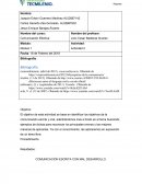 Actividad 2 - Comunicacion efectiva