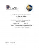 Actividad de organización y jerarquización “El origen del universo”