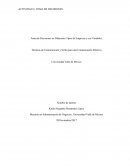 Toma de Decisiones en Diferentes Tipos de Empresas y sus Variables