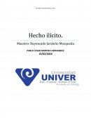 REFORMA CONSTITUCIONAL PENAL Hecho ilícito