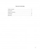 Reporte de informatica empresarial