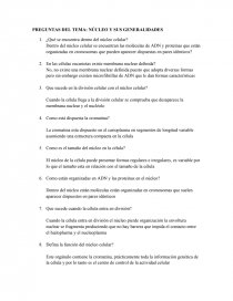 PREGUNTAS DEL TEMA: NÚCLEO Y SUS GENERALIDADES. Página 1