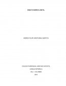 ENSAYO SOBRE EL METAL