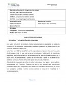 UNA HISTORIA DE CALIDAD. DEFINICIÓN Y DELIMITACIÓN DEL PROBLEMA