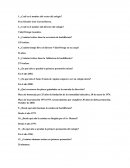 Santo Tomás de Aquino - cuestionario